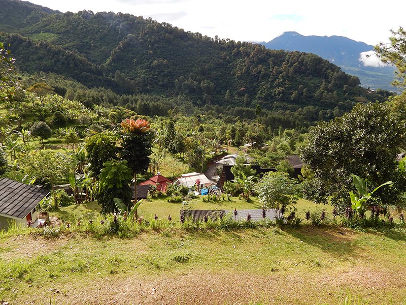 Lapangan hijau dan luas